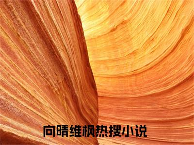 向晴维枫全文+番外免费阅读_（向晴维枫全文+番外免费阅读无弹窗）向晴维枫最新章节列表笔趣阁（向晴维枫全文+番外）