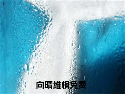 向晴维枫（向晴维枫）全文免费阅读无弹窗_向晴维枫最新小说_笔趣阁（向晴维枫）