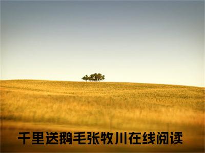 千里送鹅毛张牧川小说全文无删减-千里送鹅毛张牧川小说大结局免费阅读