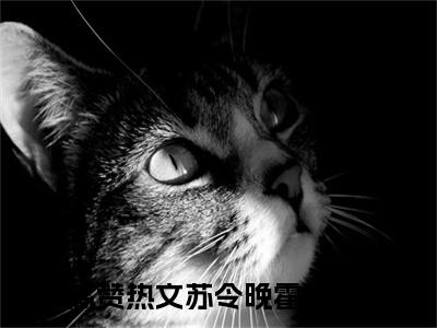苏令晚霍延正现言热文苏令晚霍延正在线阅读-（苏令晚霍延正）小说分享大结局苏令晚霍延正