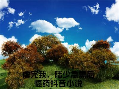 陆聂琛苏槿叶全文免费阅读无弹窗大结局-虐完我，陆少急需后悔药在线阅读最新章节列表_笔趣阁