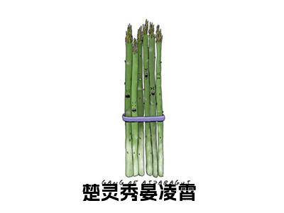 楚灵秀晏凌霄热门小说最新章节阅读-老书虫书荒推荐热点小说（楚灵秀晏凌霄）