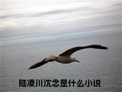 陆凌川沈念全文免费阅读无弹窗大结局_（他站在深渊）陆凌川沈念完整版全文在线赏析