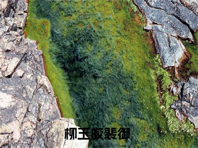 柳玉皎裴御小说叫什么-柳玉皎裴御全文阅读
