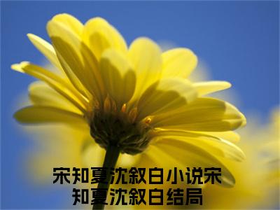 小说（宋知夏沈叙白）宋知夏沈叙白全文阅读-宋知夏沈叙白（宋知夏沈叙白）老书虫书荒推荐热点小说
