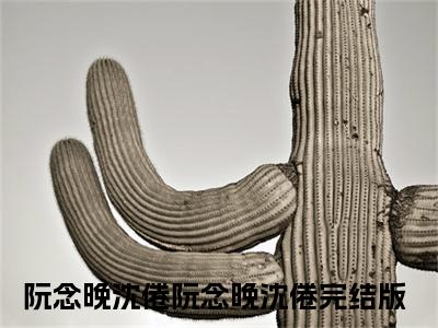 阮念晚沈倦小说全文免费阅读无弹窗-（阮念晚沈倦阅读无弹窗）穿越小说免费阅读_笔趣阁