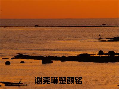 谢莞琳楚颜铭（谢莞琳楚颜铭）全网首发小说-小说谢莞琳楚颜铭完整版全文在线赏析