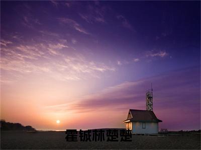 霍铖林楚楚精彩小说赏析全文 霍铖林楚楚热门小说免费阅读