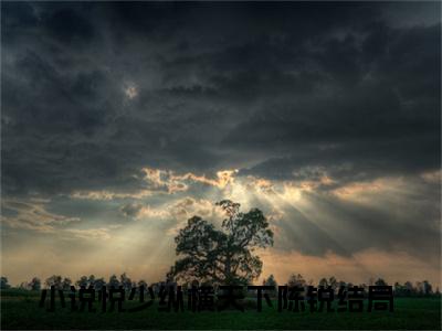 美文摘抄悦少纵横天下陈锐-小说大结局免费阅读