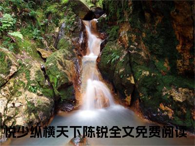 （悦少纵横天下陈锐）是什么小说-（悦少纵横天下陈锐）无弹窗免费阅读大结局最新章节列表_笔趣阁