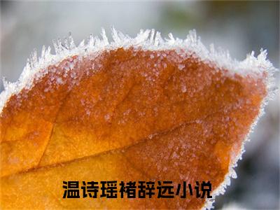 温诗瑶褚辞远（温诗瑶褚辞远）全文免费阅读无弹窗_温诗瑶褚辞远最新小说_笔趣阁（温诗瑶褚辞远）