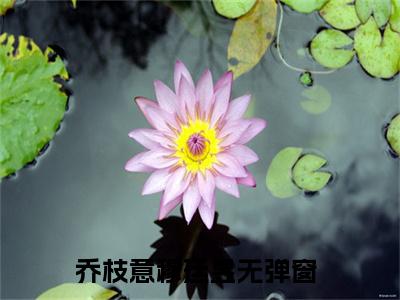 （乔枝意穆廷昱）全文免费阅读无弹窗大结局_（乔枝意穆廷昱阅读无弹窗）乔枝意穆廷昱最新章节列表_笔趣阁（乔枝意穆廷昱）