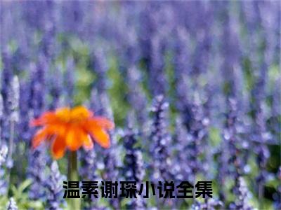 主角为温素谢琛的小说全文完整版阅读