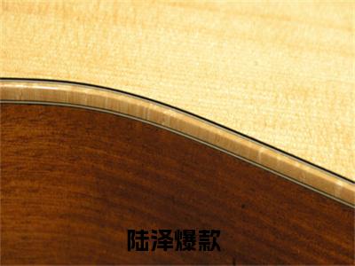 陆泽（绝武强龙）最新热门小说榜单推荐-陆泽最新章节免费阅读