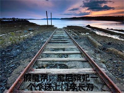 假皇帝，皇后嫔妃一个个送上门小说全文在线赏析李长寿小说免费阅读全文大结局