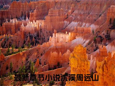沈溪周远山（沈溪周远山）完整版全文全章节阅读沈溪周远山