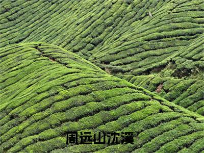 周远山沈溪（周远山沈溪）高收藏小说在线阅读-周远山沈溪阅读结局