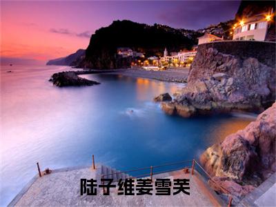 陆子维姜雪芙全文免费阅读-陆子维姜雪芙小说（陆子维姜雪芙）免费阅读全文