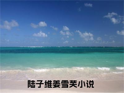 陆子维姜雪芙小说（陆子维姜雪芙）无弹窗大结局-陆子维姜雪芙完整版免费阅读