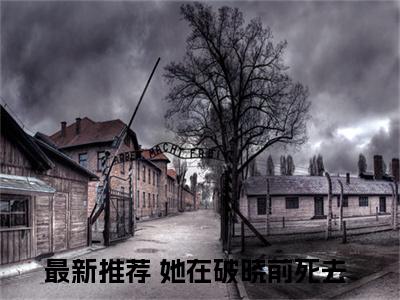 小说《贾楠白鸽》全文免费阅读无弹窗-贾楠白鸽（她在破晓前死去）小说全文在线赏析_笔趣阁
