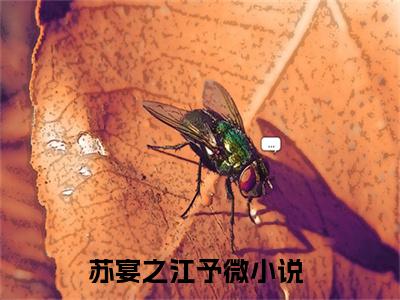 苏宴之江予微（苏宴之江予微）小说全文在线阅读_苏宴之江予微最新章节在线阅读_笔趣阁