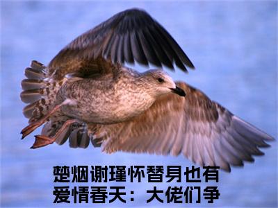 替身也有爱情春天：大佬们争着宠我（楚烟谢瑾怀）全文小说-楚烟谢瑾怀小说最新章节免费阅读