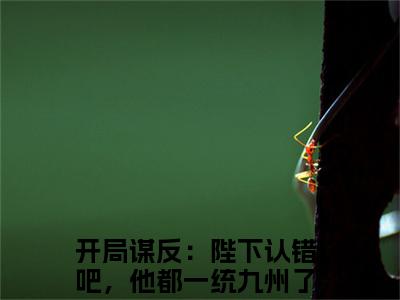 小说（萧宁）开局谋反：陛下认错吧，他都一统九州了全文阅读-萧宁（开局谋反：陛下认错吧，他都一统九州了）老书虫书荒推荐热点小说