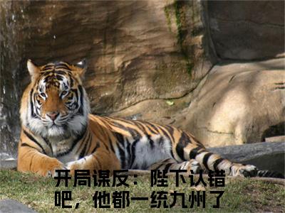 萧宁是什么小说-（开局谋反：陛下认错吧，他都一统九州了全文阅读）最新章节列表