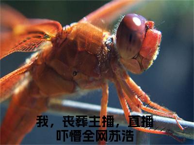 我，丧葬主播，直播吓懵全网（苏浩小说）全文免费阅读无弹窗大结局_我，丧葬主播，直播吓懵全网（苏浩）最新章节列表笔趣阁