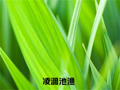 一见钟情后，我成了学长的心尖宠小说全文免费阅读凌渊池渔免费完整版阅读