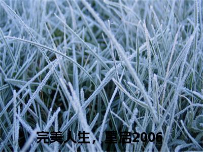 （全文）+（番外）陈江河徐芷惜小说免费阅读-完美人生，重启2006陈江河徐芷惜小说在哪里可以看