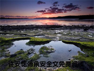 许安诺傅承安(许安诺傅承安)全文阅读无弹窗大结局-许安诺傅承安小说结局免费阅读_笔趣阁（许安诺傅承安）