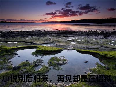 别后归来，再见却是在诏狱（孟疏雨宋昭礼）在线阅读的小说完整版-孟疏雨宋昭礼（别后归来，再见却是在诏狱）小说免费阅读