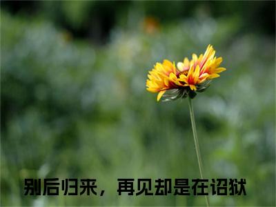 孟疏雨宋昭礼无广告小说（别后归来，再见却是在诏狱）全文免费阅读无弹窗大结局-孟疏雨宋昭礼在线阅读