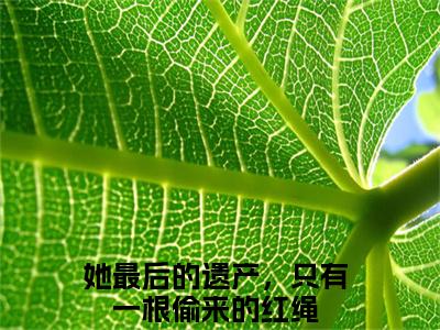 沈雀傅寒铮（她最后的遗产，只有一根偷来的红绳）全文免费阅读无弹窗大结局_她最后的遗产，只有一根偷来的红绳（沈雀傅寒铮最新章节在线阅读）_笔趣阁