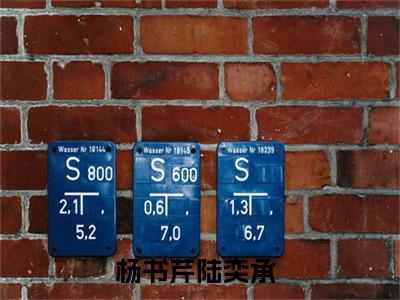 杨书芹陆奕承（杨书芹陆奕承）完结版小说-杨书芹陆奕承小说全文阅读