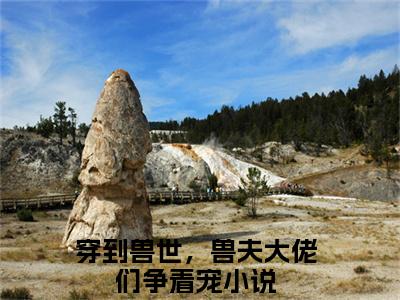 小说穿到兽世，兽夫大佬们争着宠全文阅读-冷月汐熤成小说穿到兽世，兽夫大佬们争着宠大结局