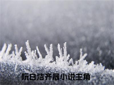 阮白洁齐晟全文免费阅读_阮白洁齐晟最新小说_笔趣阁
