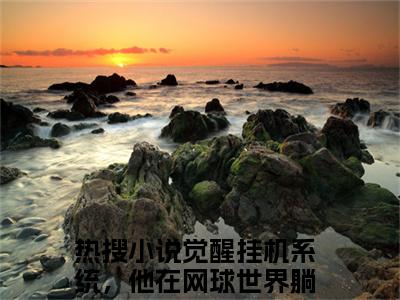 觉醒挂机系统，他在网球世界躺赢小说高桥彦木村小郎完整版全文在线赏析-小说觉醒挂机系统，他在网球世界躺赢全文大结局已完结