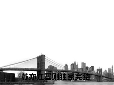 小说苏亦江塞则全文阅读-（苏亦江塞则）小说苏亦江塞则大结局