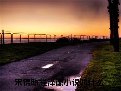 宋锦眠程泽谦小说大结局免费阅读-完结版宋锦眠程泽谦小说免费阅读