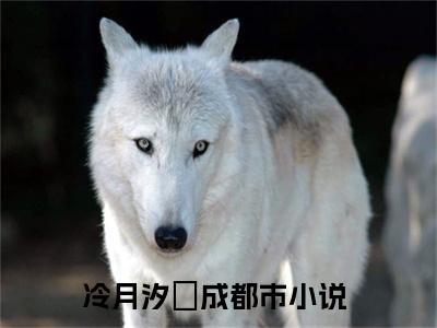 穿到兽世，兽夫大佬们争着宠小说冷月汐熤成大结局阅读-新上热文小说穿到兽世，兽夫大佬们争着宠（冷月汐熤成）讲的是什么