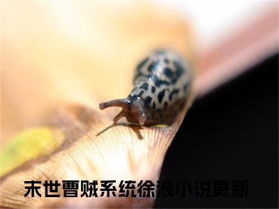 末世曹贼系统徐浪免费阅读无弹窗大结局，末世曹贼系统徐浪（最新全章节）全文阅读免费阅读-笔趣阁