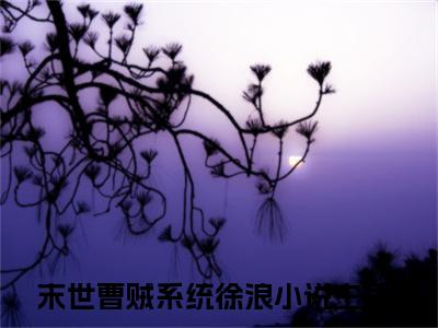 末世曹贼系统徐浪最新章节在线阅读-全文小说末世曹贼系统徐浪