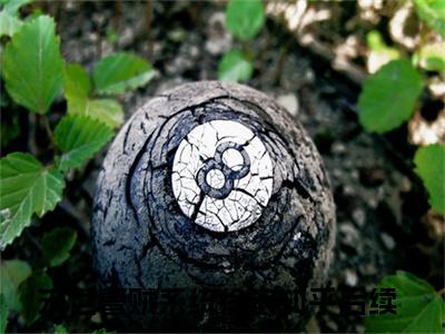 末世曹贼系统徐浪小说_末世曹贼系统徐浪全文阅读_小说免费阅读最新章节列表(末世曹贼系统徐浪)笔趣阁