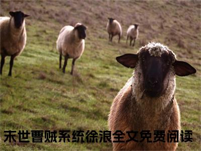 末世曹贼系统徐浪小说全文免费在线阅读-末世曹贼系统徐浪全文试读最新章节列表