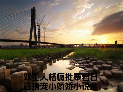 双重人格疯批暴君日日撩宠小娇娇（双重人格疯批暴君日日撩宠小娇娇）全文免费阅读无弹窗_宋妧谢行之全文免费阅读最新章节大结局