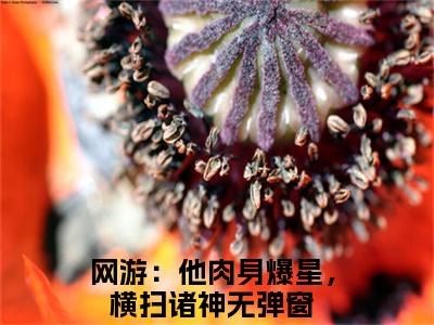 网游：他肉身爆星，横扫诸神（林泽陈铭）全文免费阅读无弹窗大结局_（林泽陈铭）的小说（网游：他肉身爆星，横扫诸神）最新章节列表