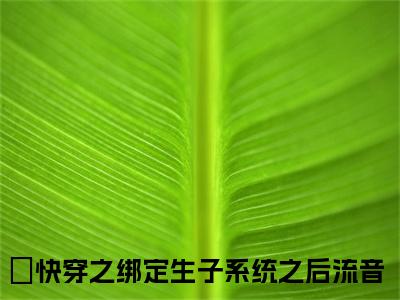 快手热推免费新书快穿之绑定生子系统之后流音小说全文完整版-快穿之绑定生子系统之后流音完整版全文在线赏析