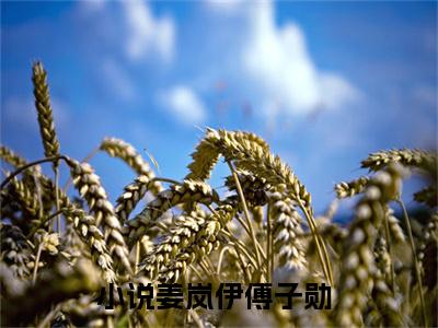 姜岚伊傅子勋（姜岚伊傅子勋）全文免费阅读无弹窗大结局_姜岚伊傅子勋最新章节列表_笔趣阁（姜岚伊傅子勋）